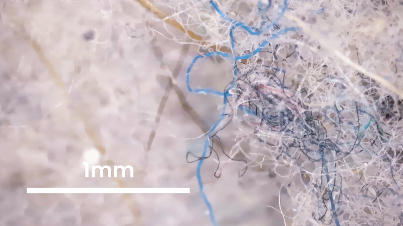 Hidden Ingredient in Dinner