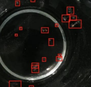 Microplastics under a microscope