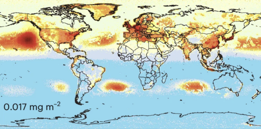 Average mean burden of nanoplastics by region.