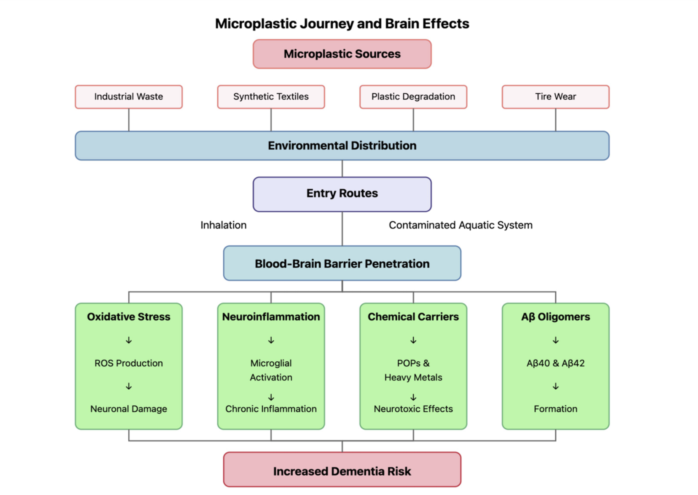 The diagram illustrates the comprehensive pathway of microplastics from their primary sources (industrial waste, synthetic textiles, plastic degradation, and tire wear) through environmental distribution to human exposure routes (inhalation and contaminated aquatic systems). Following blood–brain barrier penetration, microplastics trigger four major pathogenic mechanisms (oxidative stress, neuroinflammation, chemical carriers, and Aβ oligomer formation), ultimately contributing to increased dementia risk through neuronal damage, chronic inflammation, neurotoxic effects, and Aβ40/42 formation. 