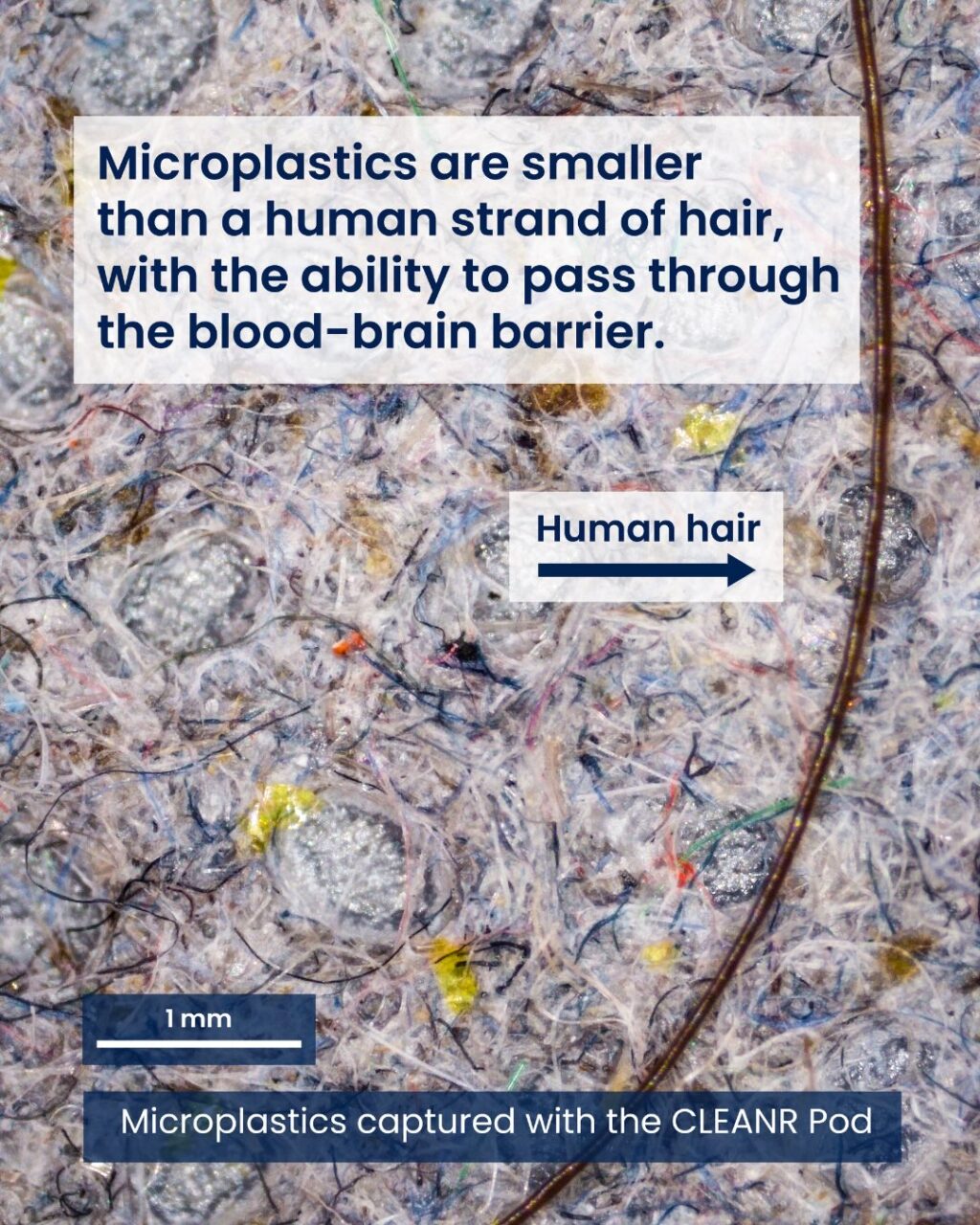 Instagram post from cleanr.life. This post is in position 2.