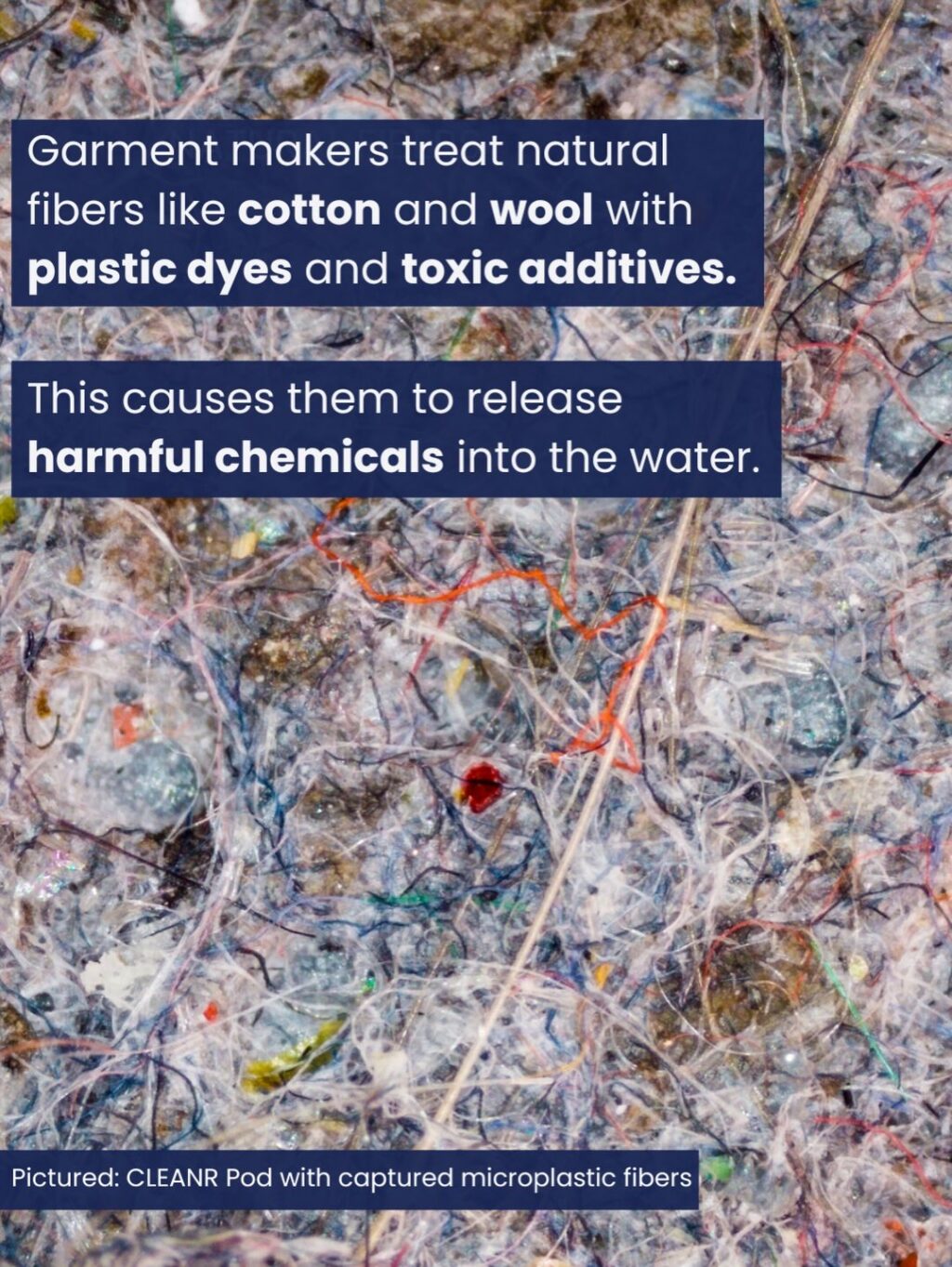 Instagram post from cleanr.life. This post is in position 2.