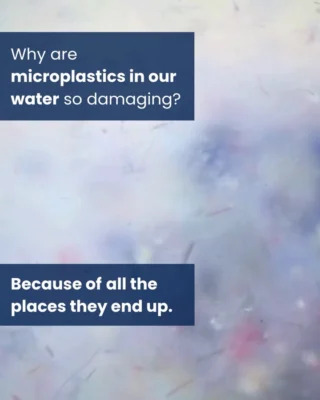 Instagram post from cleanr.life. This post is in position 1.