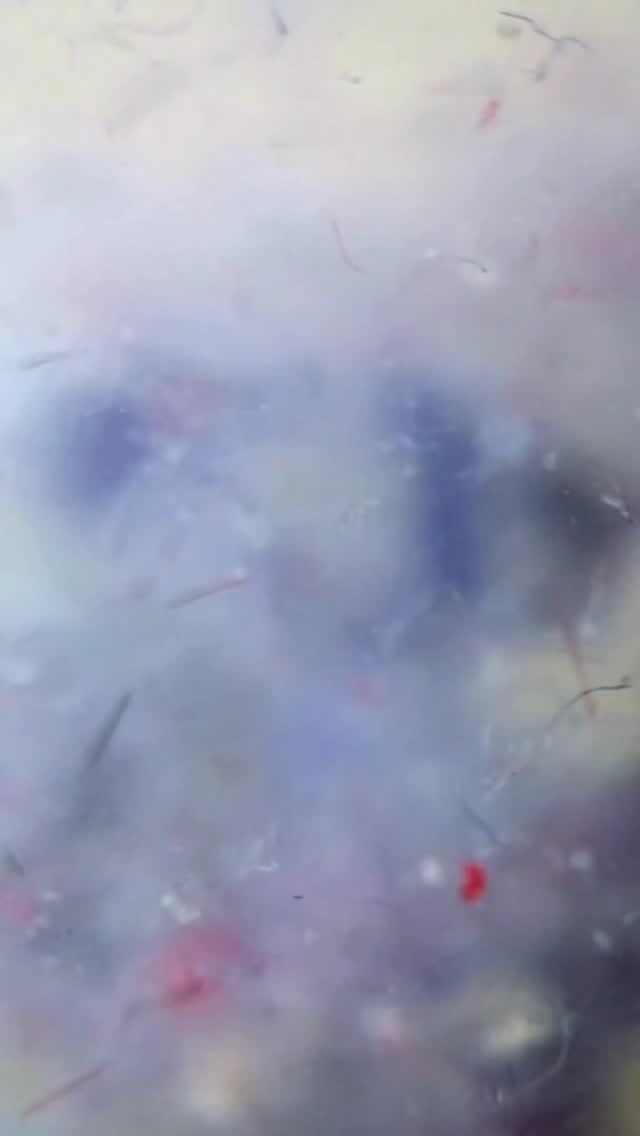 Instagram post from cleanr.life. This post is in position 1.